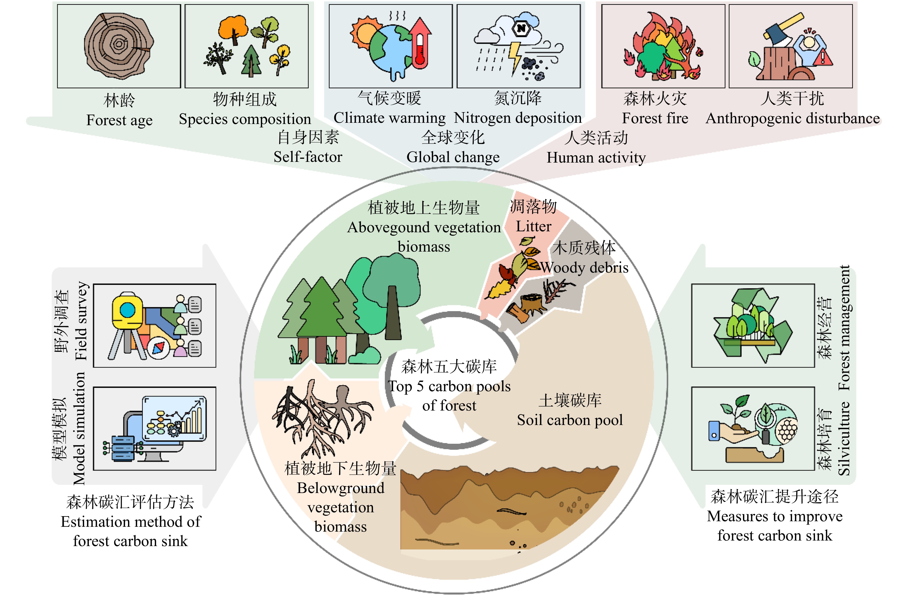 Review On The Evaluation Of Global Forest Carbon Sink Function